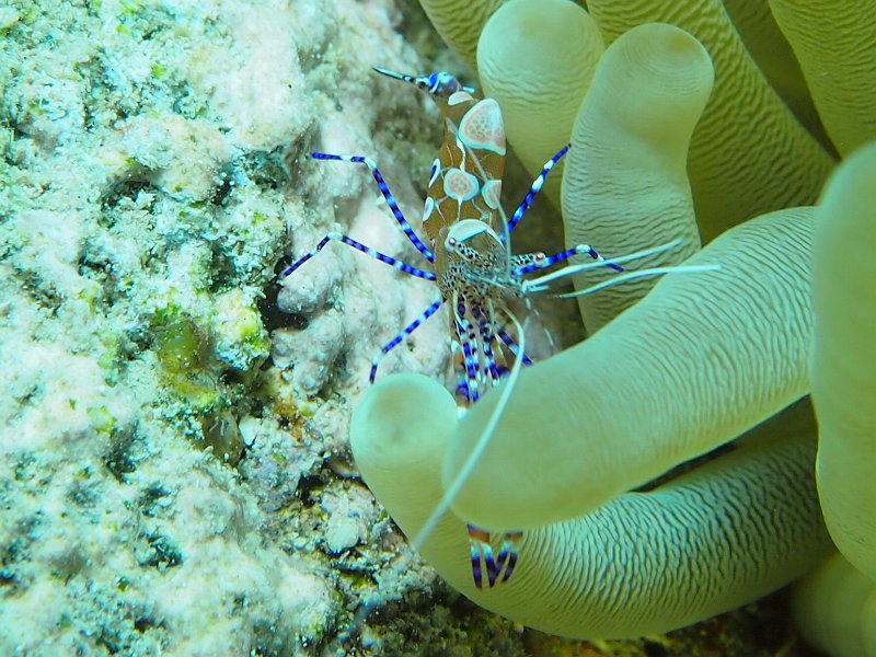 Curacao 04-12 058.jpg
